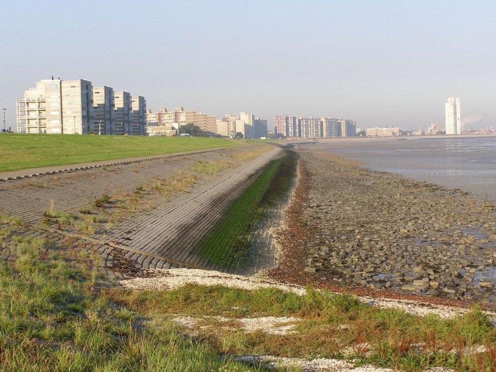 Hotel De Blaauwe Leeuw تيرينوسِن المظهر الخارجي الصورة